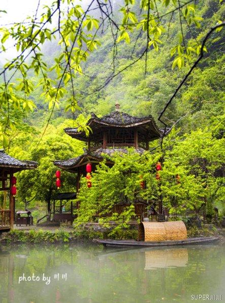 杨淑丽当选宁夏回族自治区政协副主席